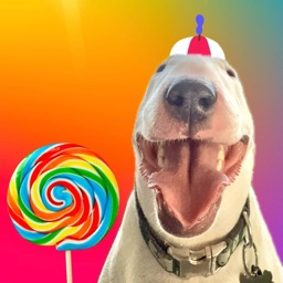 Mister Mainer (Pookie’s Server) banner