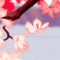 blossom café banner