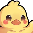 Patitos de Caro banner