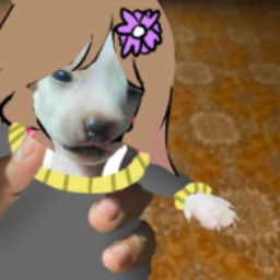 ❤El rincón de la Manca❤ banner