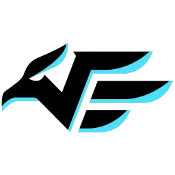 Vengeance Esports banner