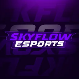SKYFLOW ESPORTS banner