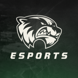 Utah Valley Esports banner