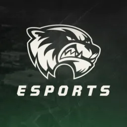 Utah Valley Esports banner