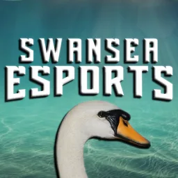 Swansea Esports banner