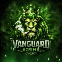 VANGUARD SCRIMS banner