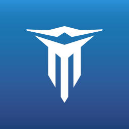 Metalstorm banner