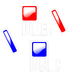Puller Public banner