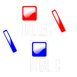 Puller Public banner