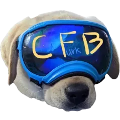 CFBcord banner