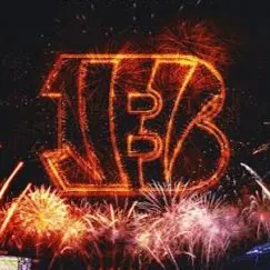 Cincinnati Bengals banner
