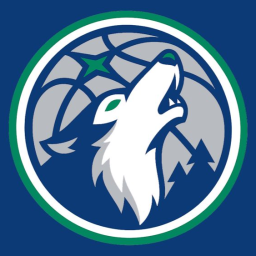 Minnesota Timberwolves banner