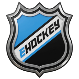 eHockey banner