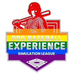 ⚾ Pro Baseball Experience ⚾ banner