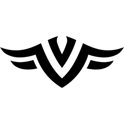 Team Vavory | DE banner