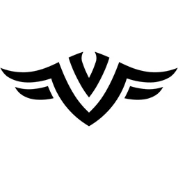 Team Vavory | DE banner