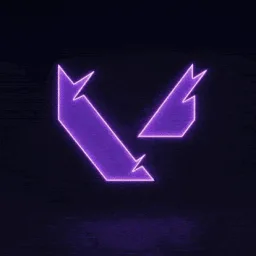 Custom VALORANT banner