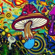 Psychedelic mushrooms and ketamine