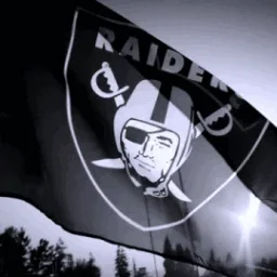 Las Vegas Raiders banner