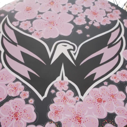 Washington Capitals banner