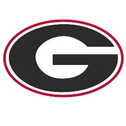 Georgia Bulldogs banner