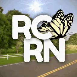Rensselaer County Roleplay Network 🐝 banner