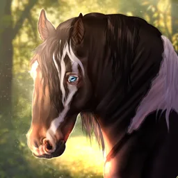 Lake County Stables banner