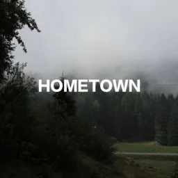Hometown | Social  • Gaming • Nondating • Emotes • Sfw • Egirls banner