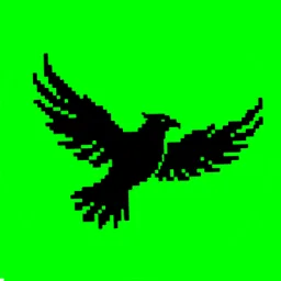 BIRDS OF WAR banner