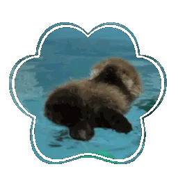The Silly Aquarium ! banner