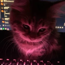 Kitty :> banner