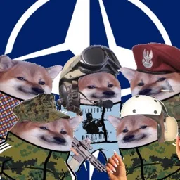 we are NAFO banner
