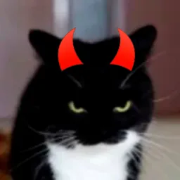Infierno de Gatto✨ banner