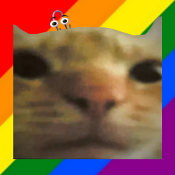 Cat Stand banner