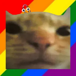 Cat Stand banner