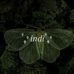 indi banner