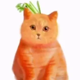 what kind of cat is this 👈 [[ NICHE ]] banner