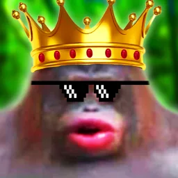 Monkey Kingdom banner