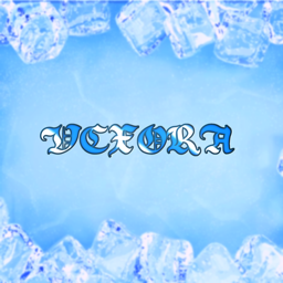 Vexora Development banner