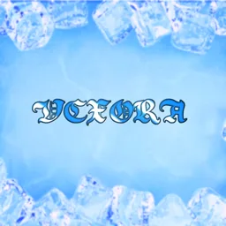 Vexora Development banner