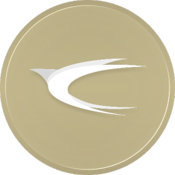 SkyLink™ banner