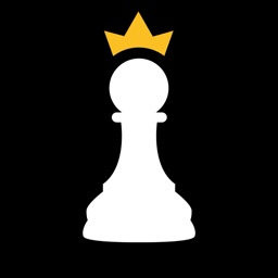 chessreps banner