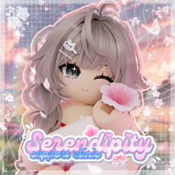 Serendipity Support Center banner