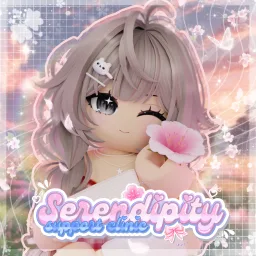 Serendipity Support Center banner
