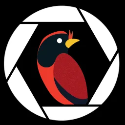 Birding Simulator banner