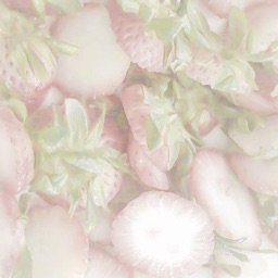 ׅ   ꒰  ࣪    bᥣιssιes dƚι   ̣̣̥𓈒ִ݁ banner