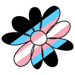 Transit banner