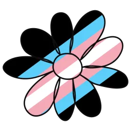 Transit banner