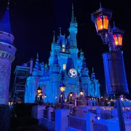 r/WaltDisneyWorld banner