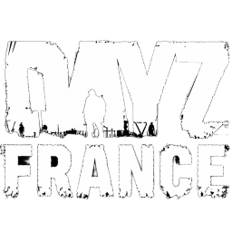 DayZ France banner